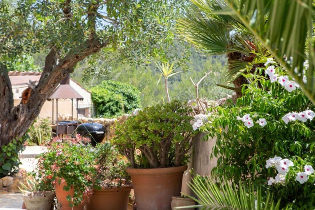 Sitges Hill Retreats-Masia Nur 22 Bedrooms Divided Over 9 Houses For Max 44 Guests Каниелес Екстериор снимка