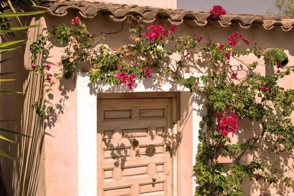 Sitges Hill Retreats-Masia Nur 22 Bedrooms Divided Over 9 Houses For Max 44 Guests Каниелес Екстериор снимка